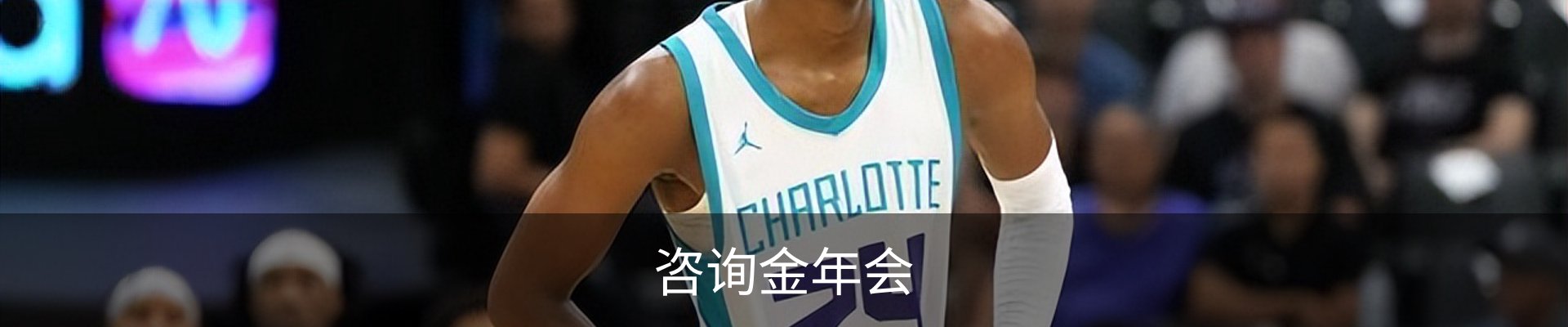 咨询金年会
