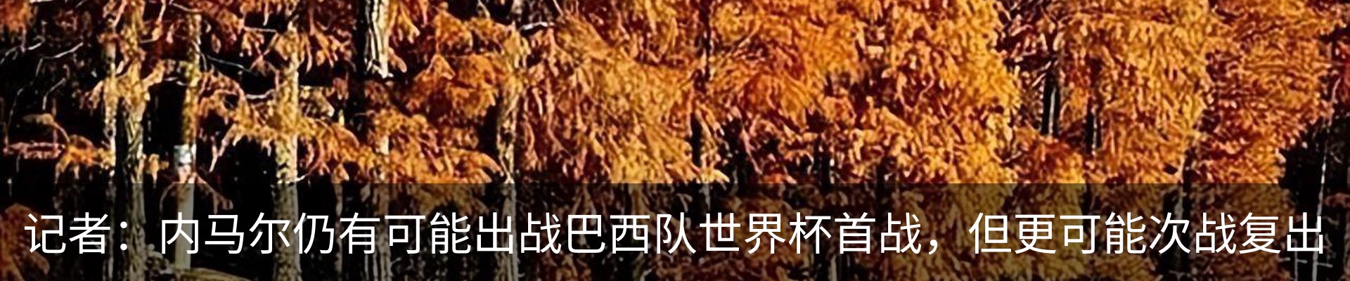行业资讯